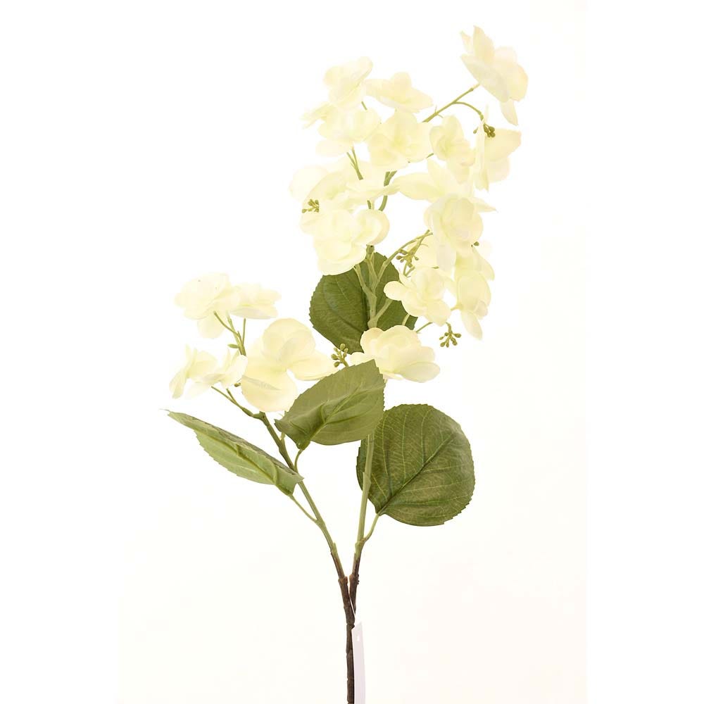 AW21  Rejoice  Light  cream    hydrangea