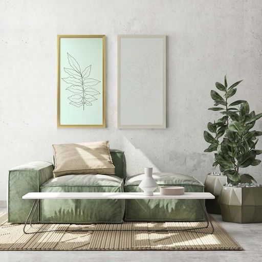 [HOM-Dan-00606] AW21 Gallery Golden Outline Plant_2 Framed Art